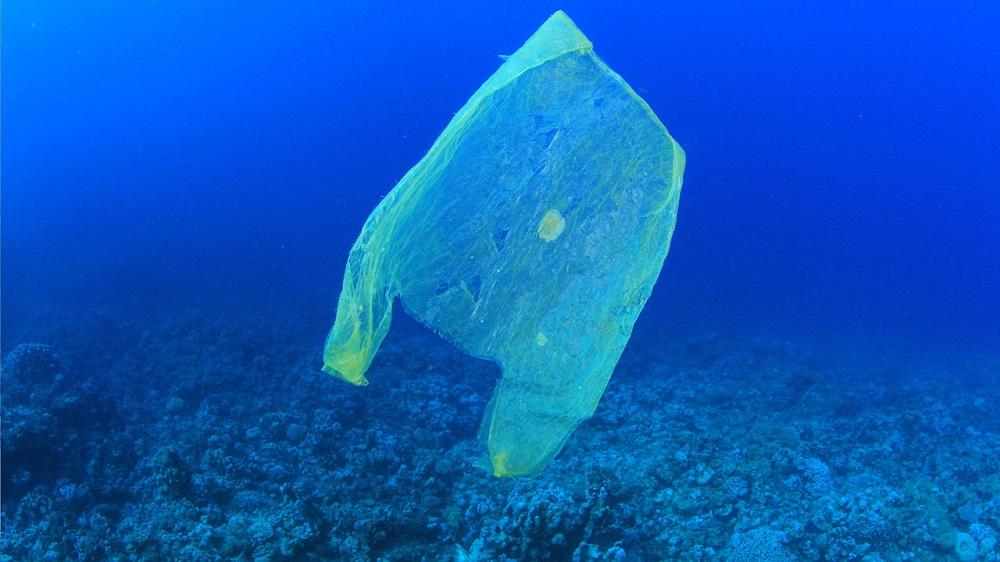 Environmentally Friendly Packaging: Should We Ban Plastic Packaging?
